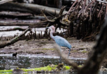 Wednesday Wake-Up Call 03.22.23 – Orvis News