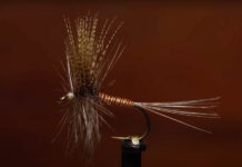 Video: How to Tie a Catskill-style Red Quill