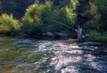 Discovering the Benefits of 10-Foot 4-Weight Rods