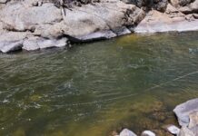 Pro Tips: How and When to Use “The Swing” While Nymphing