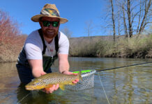 Phil’s Top 6 Patterns for Spring Mayfly Hatches