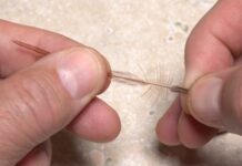Video: Understanding Hackle Feathers – Orvis News