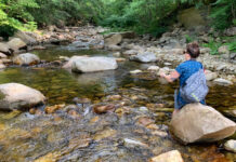 Wednesday Wake-Up Call 04.12.23 – Orvis News