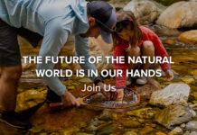 Wednesday Wake-Up Call 04.05.23 – Orvis News