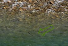 Master Class Monday: How to Catch Trout from Shelving Riffles