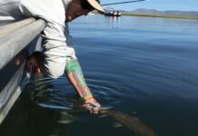 3 Tips for Fishing Eastern Sierra Lakes This Spring