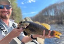 Pro Tips: 3 Tactics for Pre-Spawn Smallmouth
