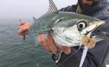 Wednesday Wake-Up Call: 05.10.23 – Orvis News