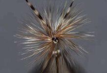 Video: How to Tie-In Mixed Brown and Grizzly Hackles