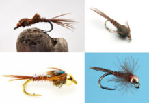 Pro Tips: Why You Should Always Carry Pheasant Tail Nymphs