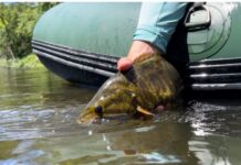 Pro Tips: Low-Water Tactics for Smallmouth Bass