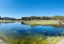 Pro Tips: 3 Tactics for Spring Creek Fishing