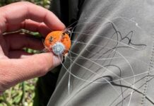 Pro Tips: Don’t be Afraid to Struggle as a Beginning Fly Fisher
