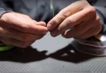 Video: How to Choose the Right Leader