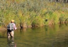 Master Class Monday: How to Fish the “Terrestrial Drop”