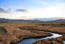 Wednesday Wake-Up Call: 06.14.23 – Orvis News