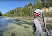 Pro Tip: Use the Roll-Cast Pickup for Efficient Upstream Dry-Fly Fishing