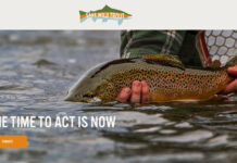 Wednesday Wake-Up Call: 06.21.23 – Orvis News