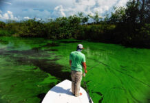 Wednesday Wake-Up Call: 07.05.23 – Orvis News