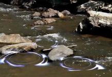 Video Pro Tips: How to Fish a Small Mountain Stream
