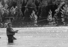 Classic Story: The Doc, the River, and Lessons Learned