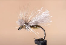 Video: How to Tie the DPH Caddis Dry