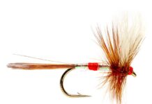 Video: How to Tie the Patriot Dry Fly (Happy Fourth of July!)