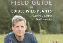 Podcast: Foraging Along Trout Streams, with Sam Thayer