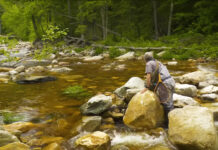 Video: How to Find and Fish Small Trout Streams, with Tom Rosenbauer