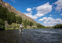 4 Hot Tips for Fishing the Madison in August