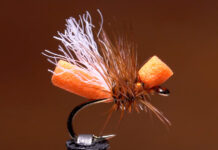 Video: How to Tie the Cinnamon Flying Ant