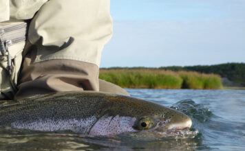 Classic Story: Patience Pays Off in Alaska