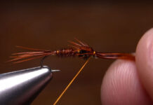 Video: How to Create Legs on a Pheasant Tail Nymph