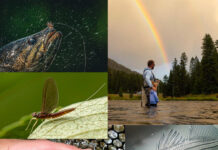 Photos: Week Two of Our “20 September Days” Contest