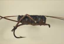 Museum Pieces: History of the Hopper