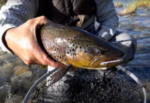 Video: How to Tie the Meat Whistle