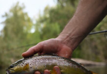 Notes from Spain, Days Two and Three: More Than Fish