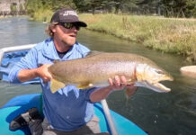 Video: A Once-in-a-Lifetime Brown Trout