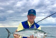 Pro Tips: Catch More False Albacore with Topwater Flies
