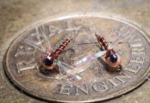 Classic Pro Tips: Lighten Up to Catch More Trout