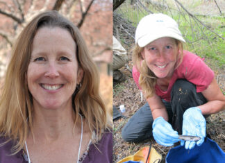 Podcast: Learning from Trout DNA, with Helen Neville