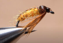 Video: How to Tie an October Caddis Pupa