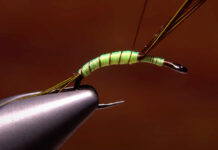 Video: How and Why to Rib a Fly