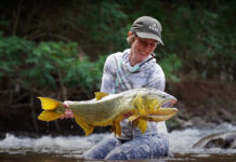 Video: Rio Dorado – Orvis News