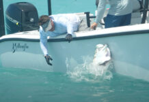 Video: Tarpon 101 – Orvis News