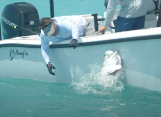 Video: Tarpon 101 – Orvis News