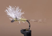 Video: How to Tie a Tiny Blue-Winged Olive