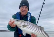 Wednesday Wake-Up Call: 11.15.23 – Orvis News