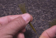 Video: How to Select and Tie-In Marabou