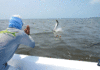 Video: Amazing Tarpon and Permit in Belize
